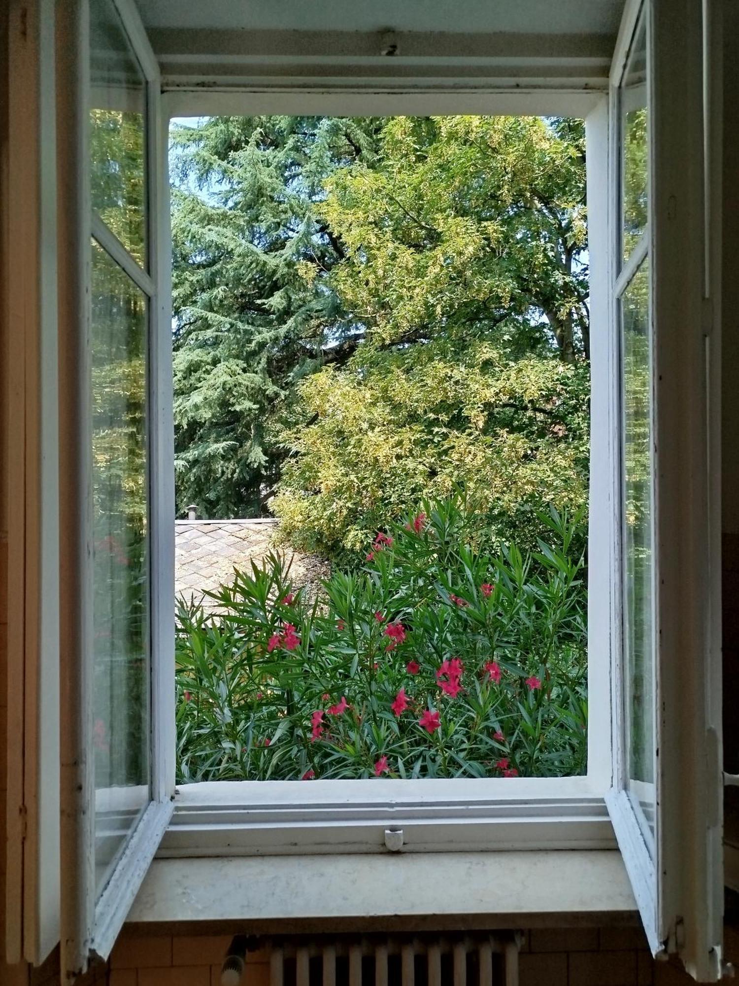 Apartment Del Nobile Turin
